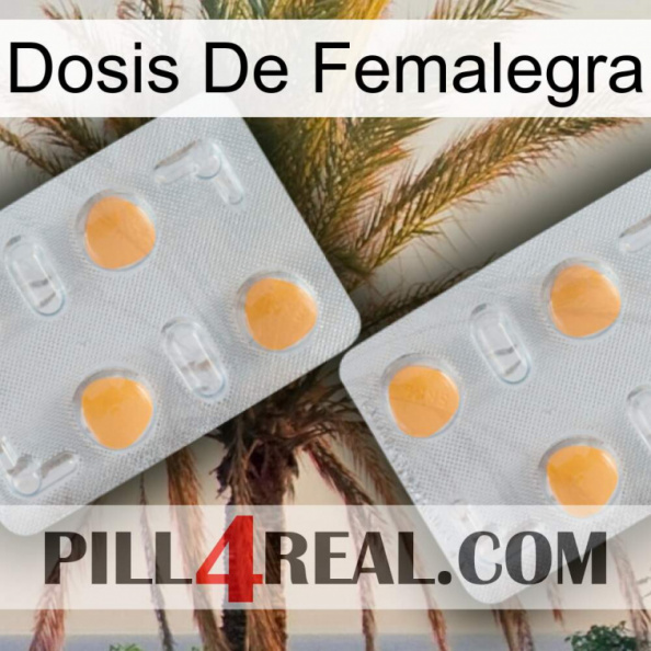 Femalegra Dosage 25.jpg